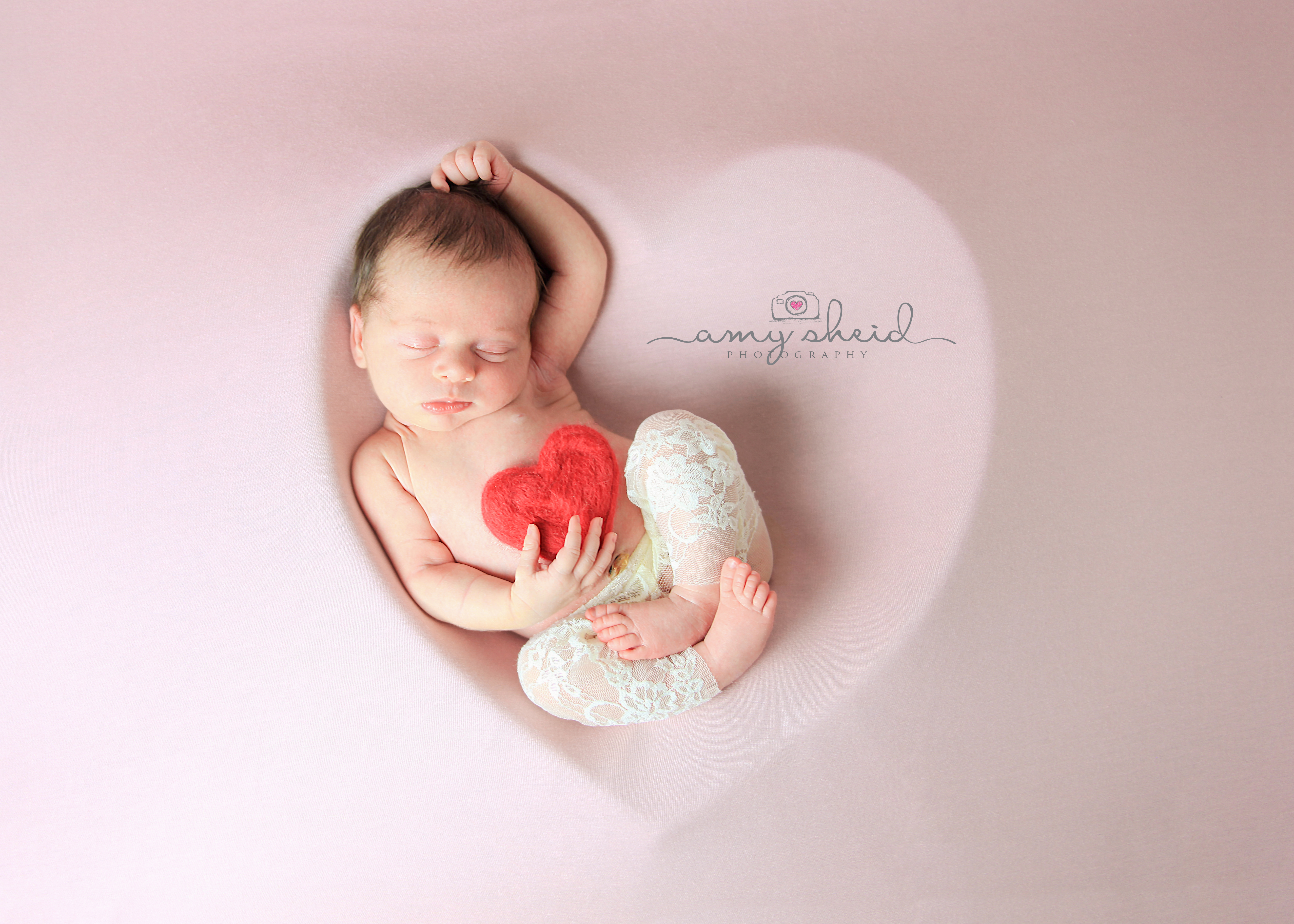 Amy Sheid Photography